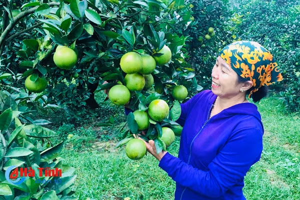 co hoi vang de quang ba thuong hieu cam va nong san ha tinh