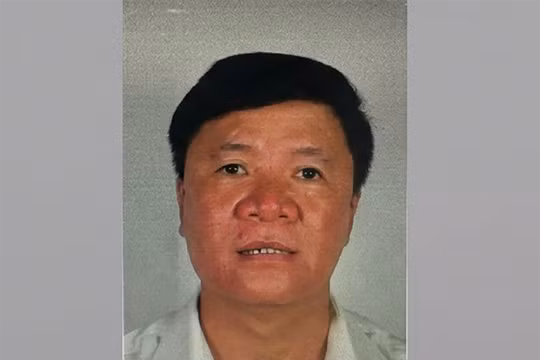 Chủ tịch Công ty cây xanh Công Minh được yêu cầu ra đầu thú