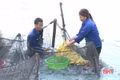 Can Lộc đẩy mạnh phát triển thuỷ sản nước ngọt