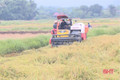 Khẩn trương thu hoạch lúa xuân sau mưa lũ