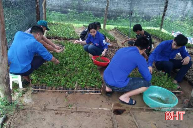 Tuổi trẻ Hà Tĩnh hành động hưởng ứng kỷ niệm 20 năm “Chiến dịch thanh niên tình nguyện hè”