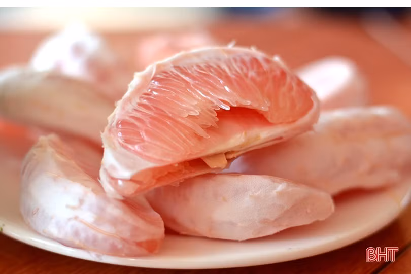 Nông dân xã biên giới Hương Sơn “hái bộn tiền” nhờ bưởi hồng Quang Tiến