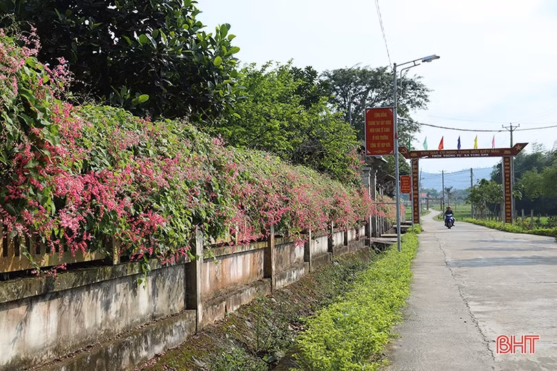 Tùng Ảnh huy động trên 278 tỷ đồng xây dựng nông thôn mới kiểu mẫu