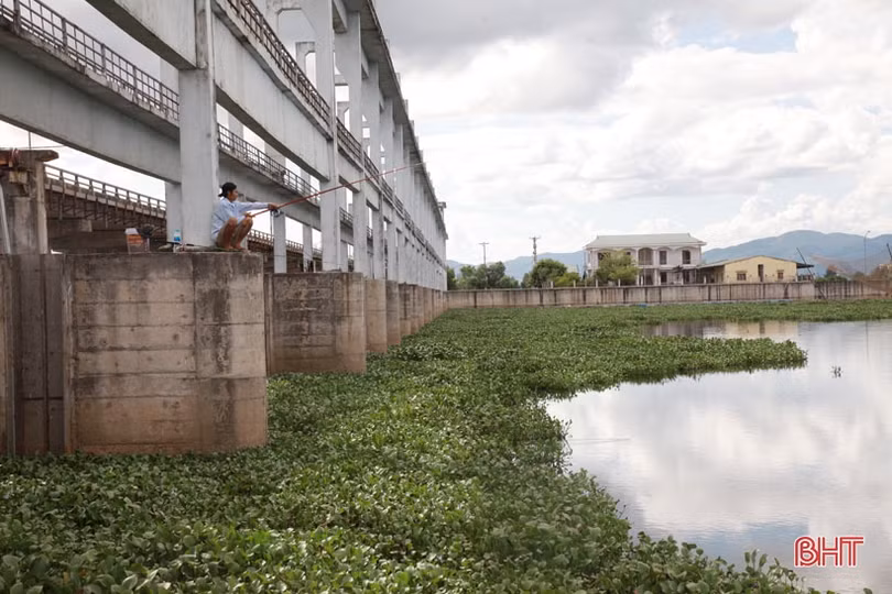 Rùng mình cảnh trẻ em nhảy cầu tắm sông sâu 10 m