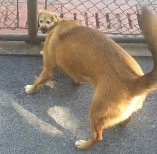 Những góc chụp “khó đỡ” khiến bạn luôn bị nhầm lẫn