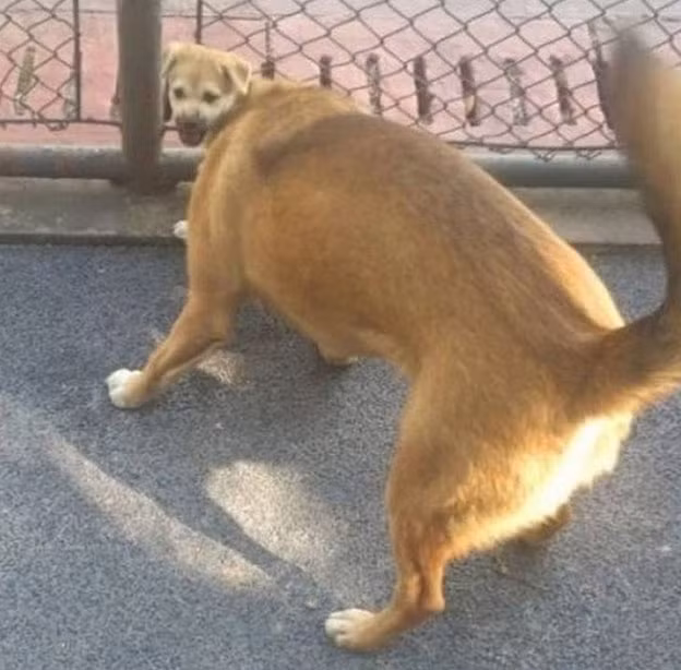 Những góc chụp “khó đỡ” khiến bạn luôn bị nhầm lẫn