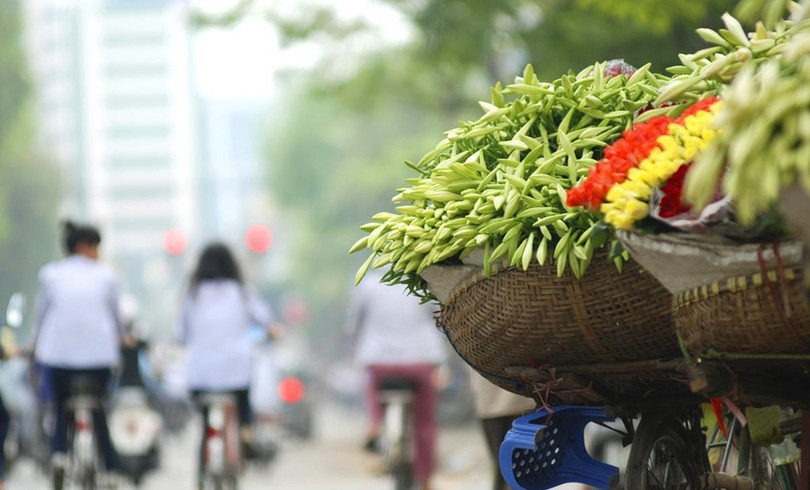 Những lý do khiến Việt Nam là thiên đường du lịch với người nước ngoài