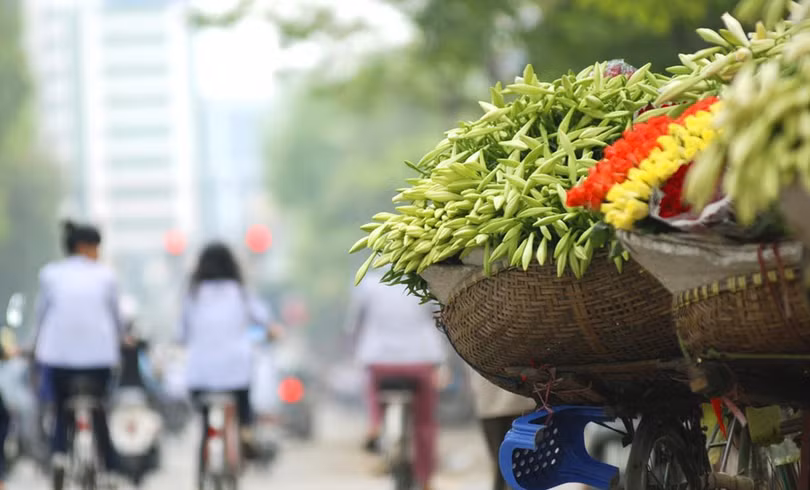 Những lý do khiến Việt Nam là thiên đường du lịch với người nước ngoài