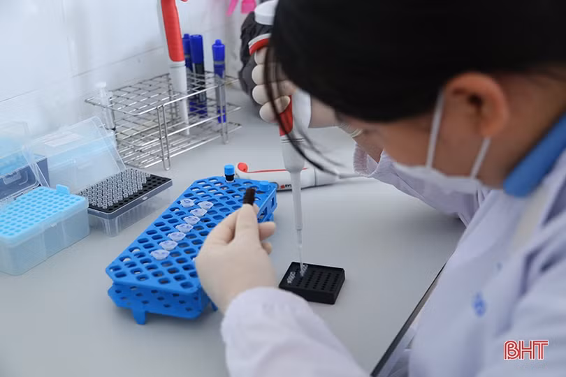 Hà Tĩnh sản xuất gần 550 triệu con giống thủy sản cho thị trường