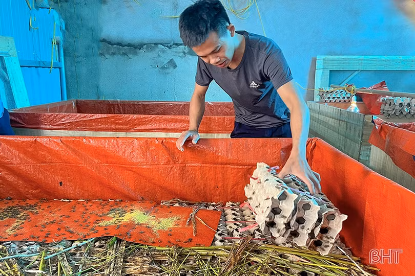 Nông dân Hà Tĩnh “thử sức” với nhiều loại vật nuôi giá trị kinh tế cao