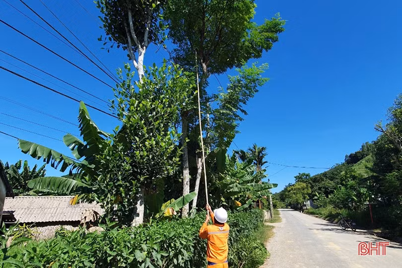 Mưa bão cận kề, Điện lực Hà Tĩnh tăng cường phát quang hành lang lưới
