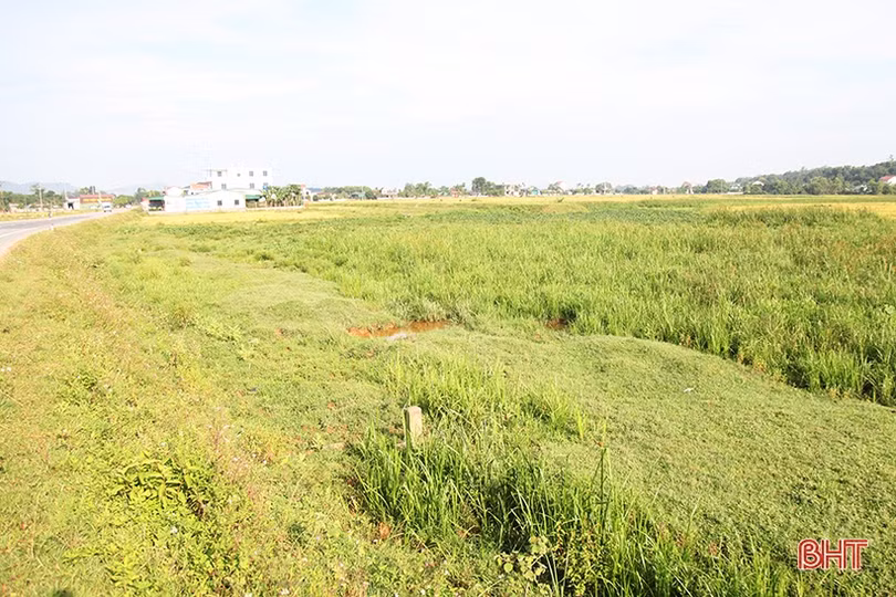 Hà Tĩnh: 4 địa phương trình thẩm định các khu tái định cư dự án cao tốc Bắc - Nam