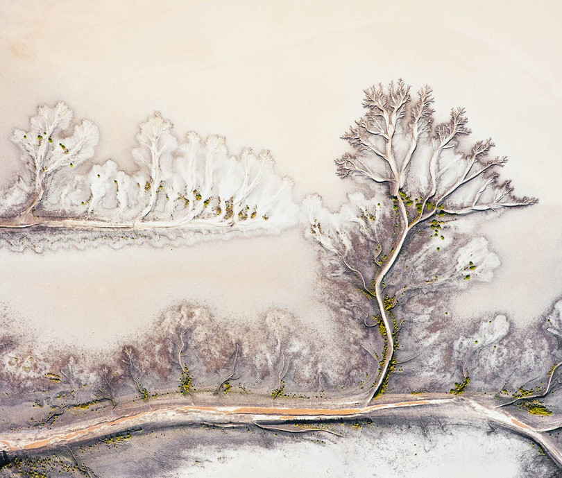 Loạt tác phẩm ấn tượng đoạt giải cuộc thi ảnh quốc tế One Eyeland 2021