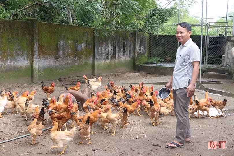 Chi hội trưởng nông dân làm kinh tế giỏi, tâm huyết với công tác hội