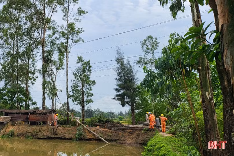 Mưa bão cận kề, Điện lực Hà Tĩnh tăng cường phát quang hành lang lưới