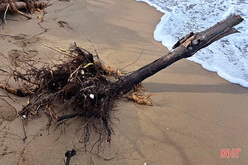 Bờ biển Nghi Xuân bị xâm thực, xói lở nghiêm trọng