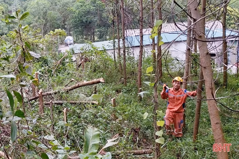 Mưa bão cận kề, Điện lực Hà Tĩnh tăng cường phát quang hành lang lưới