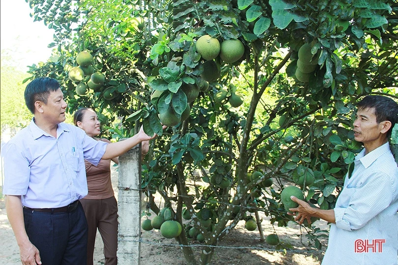 Tổ hợp tác sản xuất lưới cá ở Nghi Xuân tạo việc làm cho nhiều hoàn cảnh khó khăn