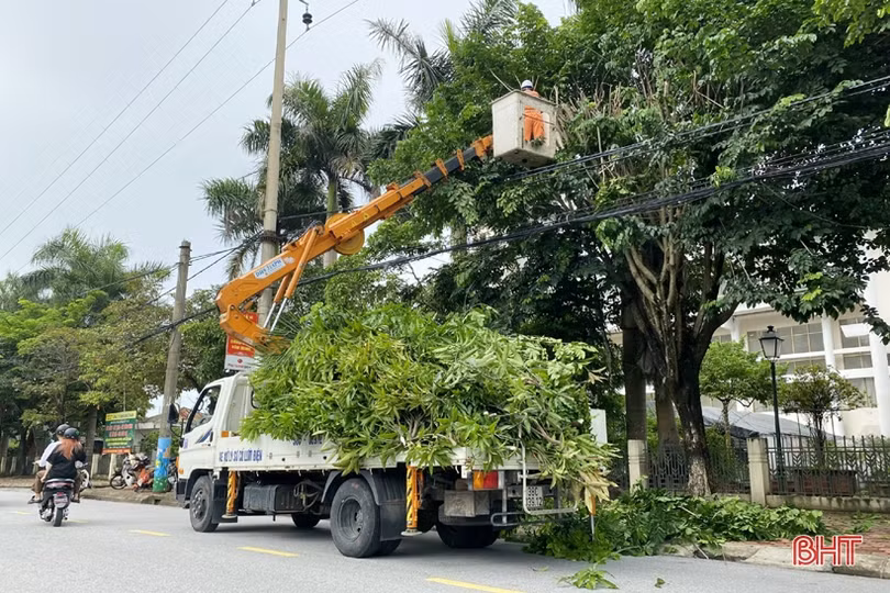 Mưa bão cận kề, Điện lực Hà Tĩnh tăng cường phát quang hành lang lưới