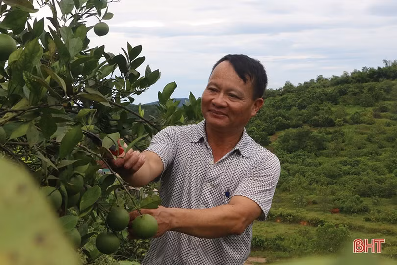 Chi hội trưởng nông dân làm kinh tế giỏi, tâm huyết với công tác hội