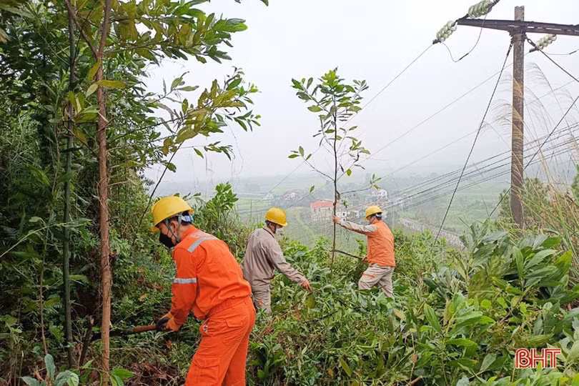 Mưa bão cận kề, Điện lực Hà Tĩnh tăng cường phát quang hành lang lưới