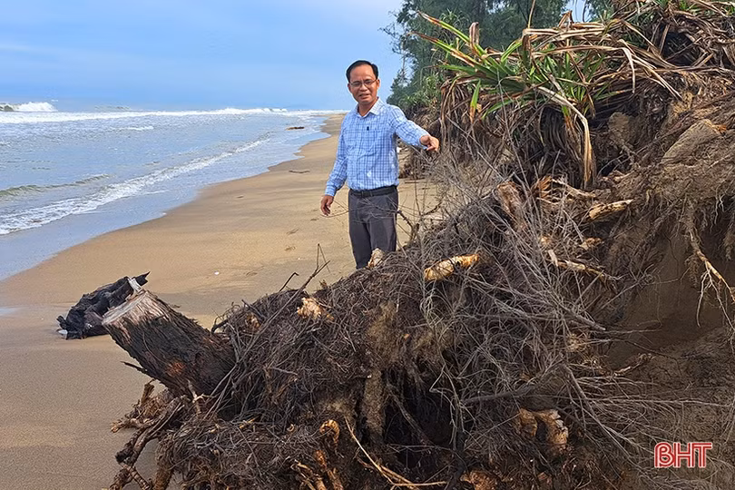 Bờ biển Nghi Xuân bị xâm thực, xói lở nghiêm trọng