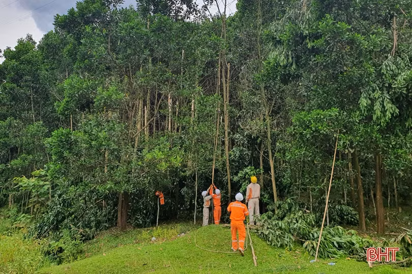 Mưa bão cận kề, Điện lực Hà Tĩnh tăng cường phát quang hành lang lưới