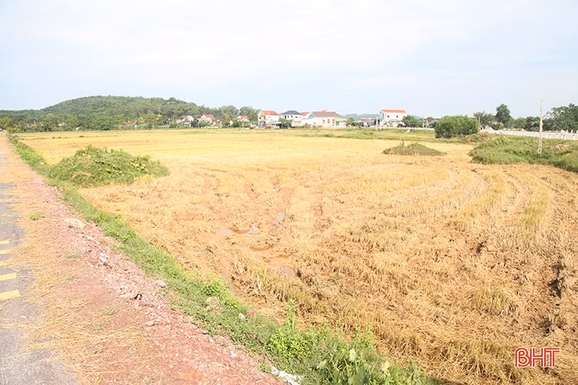 Hà Tĩnh: 4 địa phương trình thẩm định các khu tái định cư dự án cao tốc Bắc - Nam