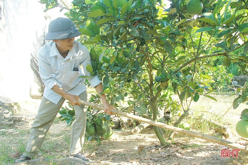 Tổ hợp tác sản xuất lưới cá ở Nghi Xuân tạo việc làm cho nhiều hoàn cảnh khó khăn