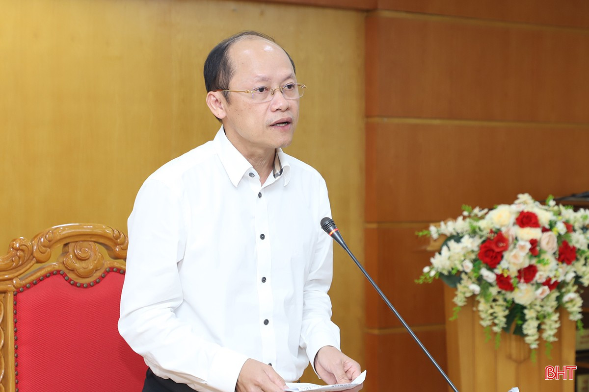 Phó Chủ tịch Thường trực UBND tỉnh Nguyễn Hồng Lĩnh phát biểu tại phiên họp. bqbht_br_7.jpg