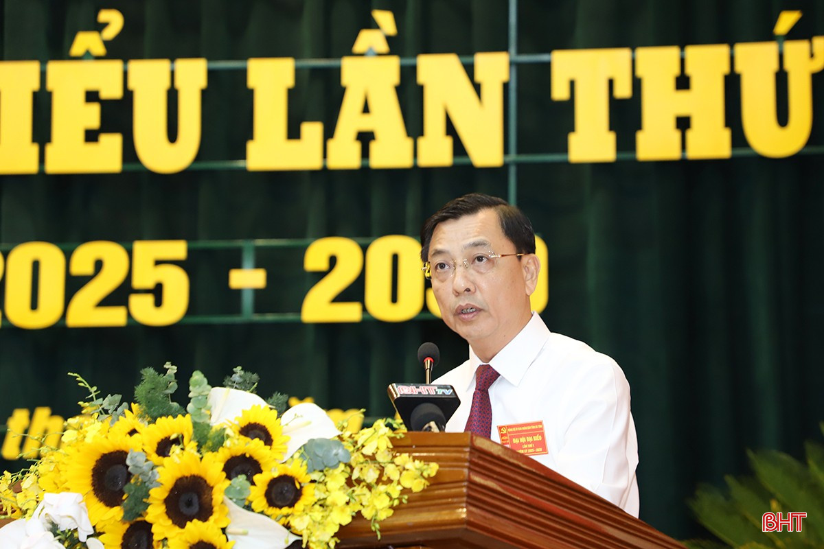 Trưởng Ban Quản lý KKT tỉnh Trần Việt Hà tham luận chủ đề đẩy mạnh thu hút đầu tư vào khu kinh tế, khu công nghiệp gắn với phát triển khu vực kinh tế tư nhân nhằm thúc đẩy tăng trưởng và chuyển dịch cơ cấu kinh tế. bqbht_br_11.jpg