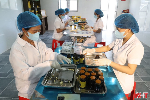 Viên nang nhung hươu thảo mộc đầu tiên ở Hương Sơn đạt OCOP 3 sao 
