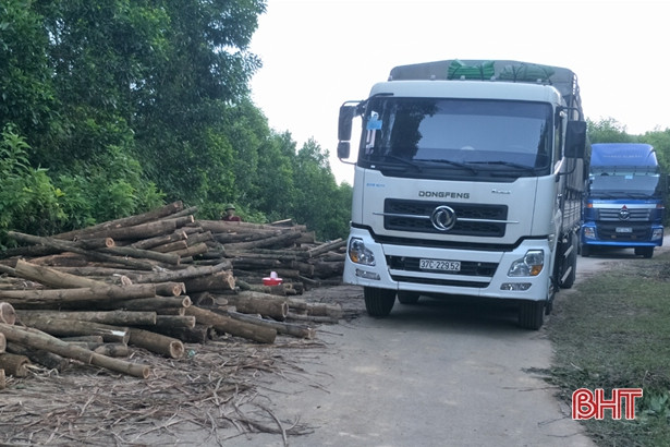 Bất chấp lệnh cấm, xe tải ngang nhiên dừng đỗ, chở hàng chiếm lòng đường