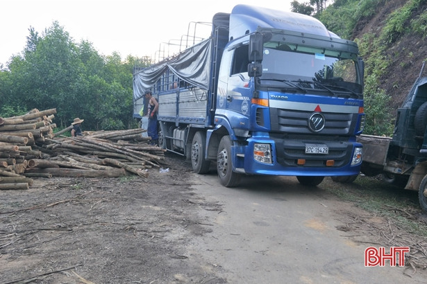 Bất chấp lệnh cấm, xe tải ngang nhiên dừng đỗ, chở hàng chiếm lòng đường