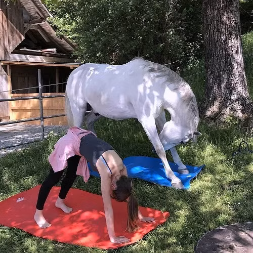 Những ảnh hài hước trong ngày