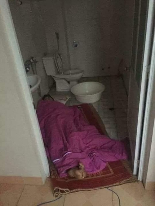 Những ảnh hài hước trong ngày