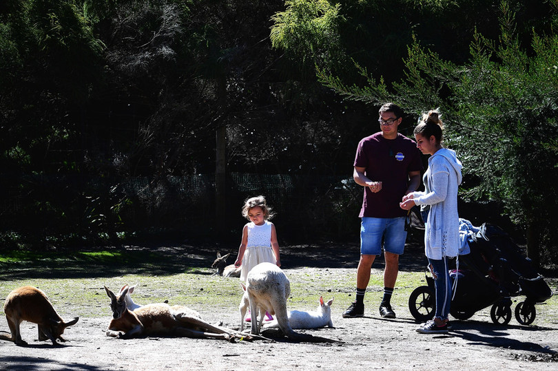 Những điểm đến khó quên ở Australia hình ảnh 14 Những điểm đến khó quên ở Australia