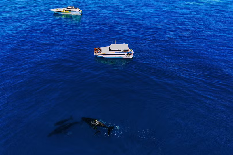 Những điểm đến khó quên ở Australia hình ảnh 6 Những điểm đến khó quên ở Australia