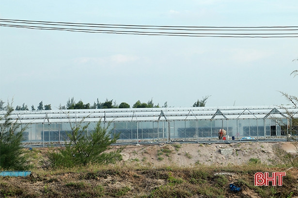 Doanh nghiệp nuôi tôm lớn nhất Hà Tĩnh đầu tư hơn 14 tỷ xây “nhà” cho tôm