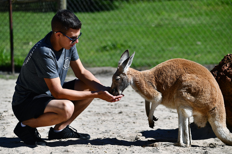 Những điểm đến khó quên ở Australia hình ảnh 15 Những điểm đến khó quên ở Australia