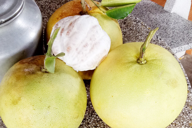 Gần 2.000 cây bưởi hồng Quang Tiến cho quả đầu mùa trên đất Sơn Kim