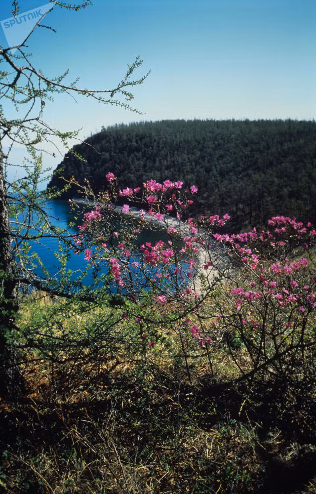 Khám phá hồ nước ngọt được mệnh danh “Con mắt xanh của Siberia”