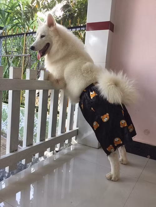 Những ảnh hài hước trong ngày