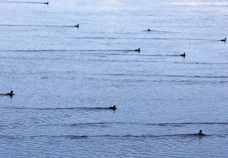 Hồ lớn thứ hai ở Bolivia cạn trơ đáy, ngư dân bản địa chật vật mưu sinh