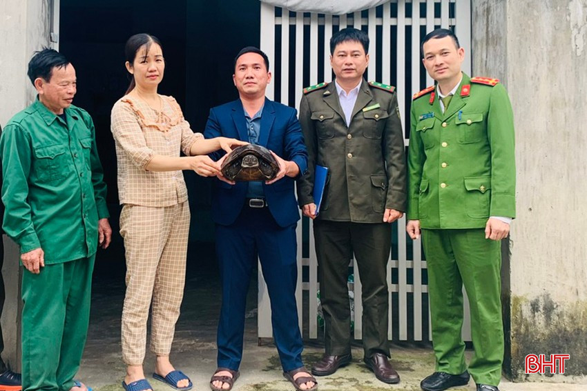 bqbht_br_k1.jpg