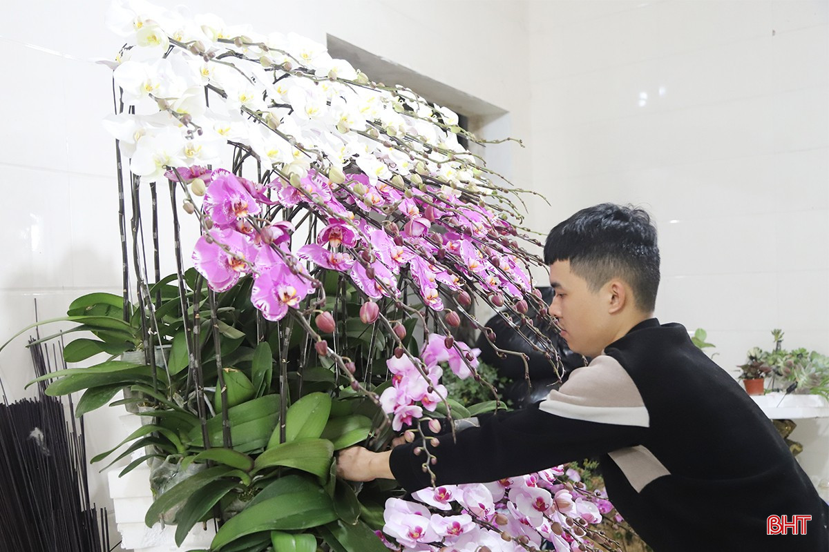 bqbht_br_img-0852-copy.jpg