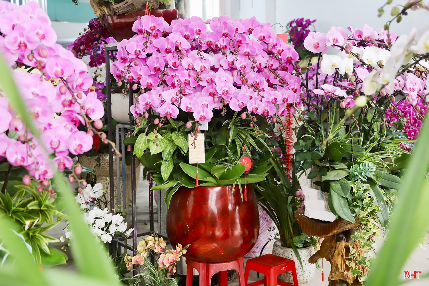 bqbht_br_img-1004-copy.jpg