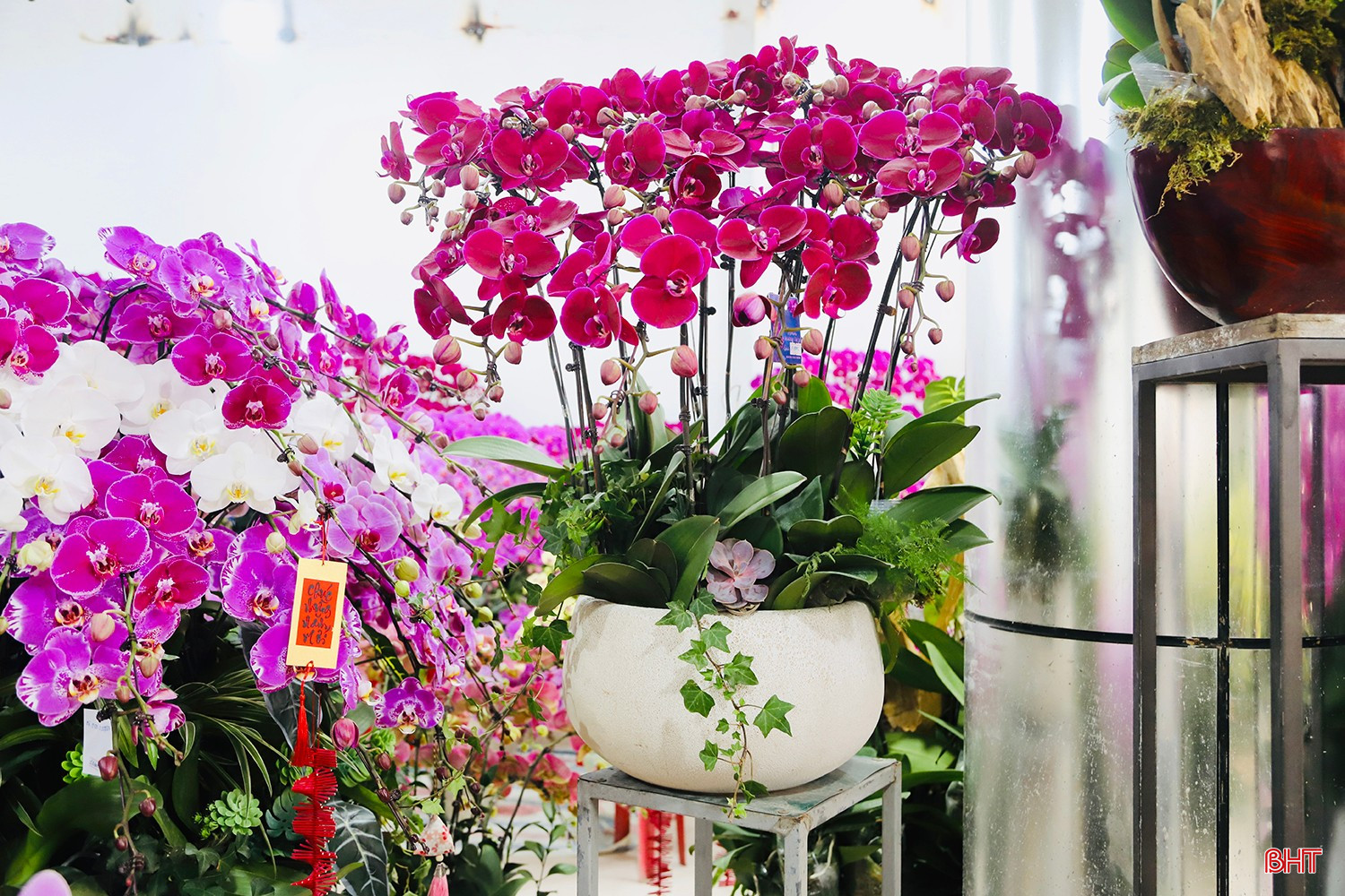 bqbht_br_img-0989-copy.jpg