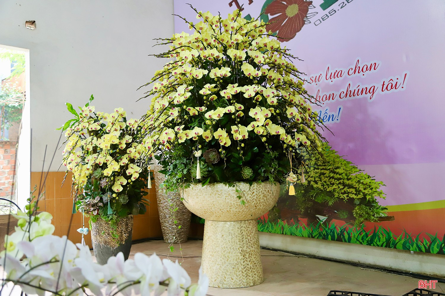 bqbht_br_img-0811-copy.jpg