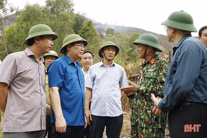 Phó Thủ tướng Vương Đình Huệ: Chủ động “4 tại chỗ” trong phòng chống cháy rừng